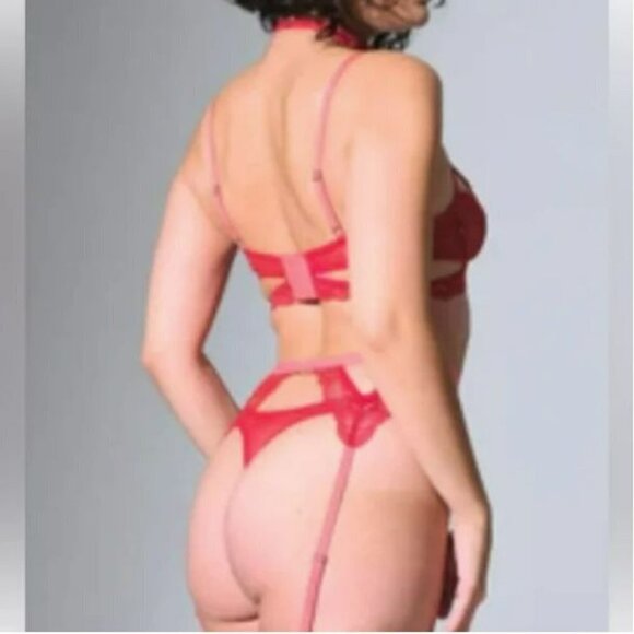 Thistle and Spire Kane Garter Belt W/ Detachable Choker Chili Red/Pink M NWT - Picture 2 of 5